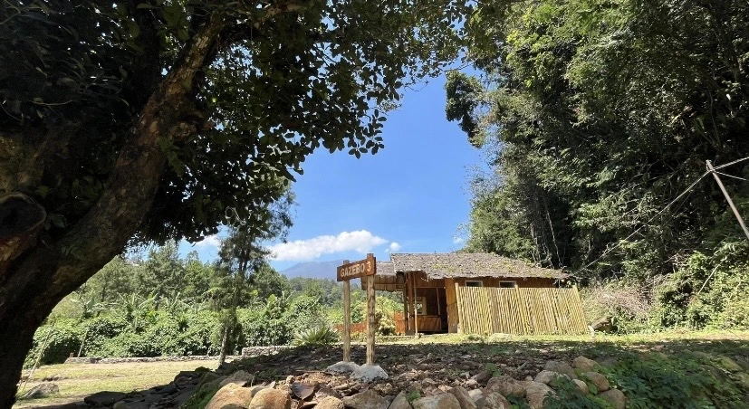 Gazebo 3